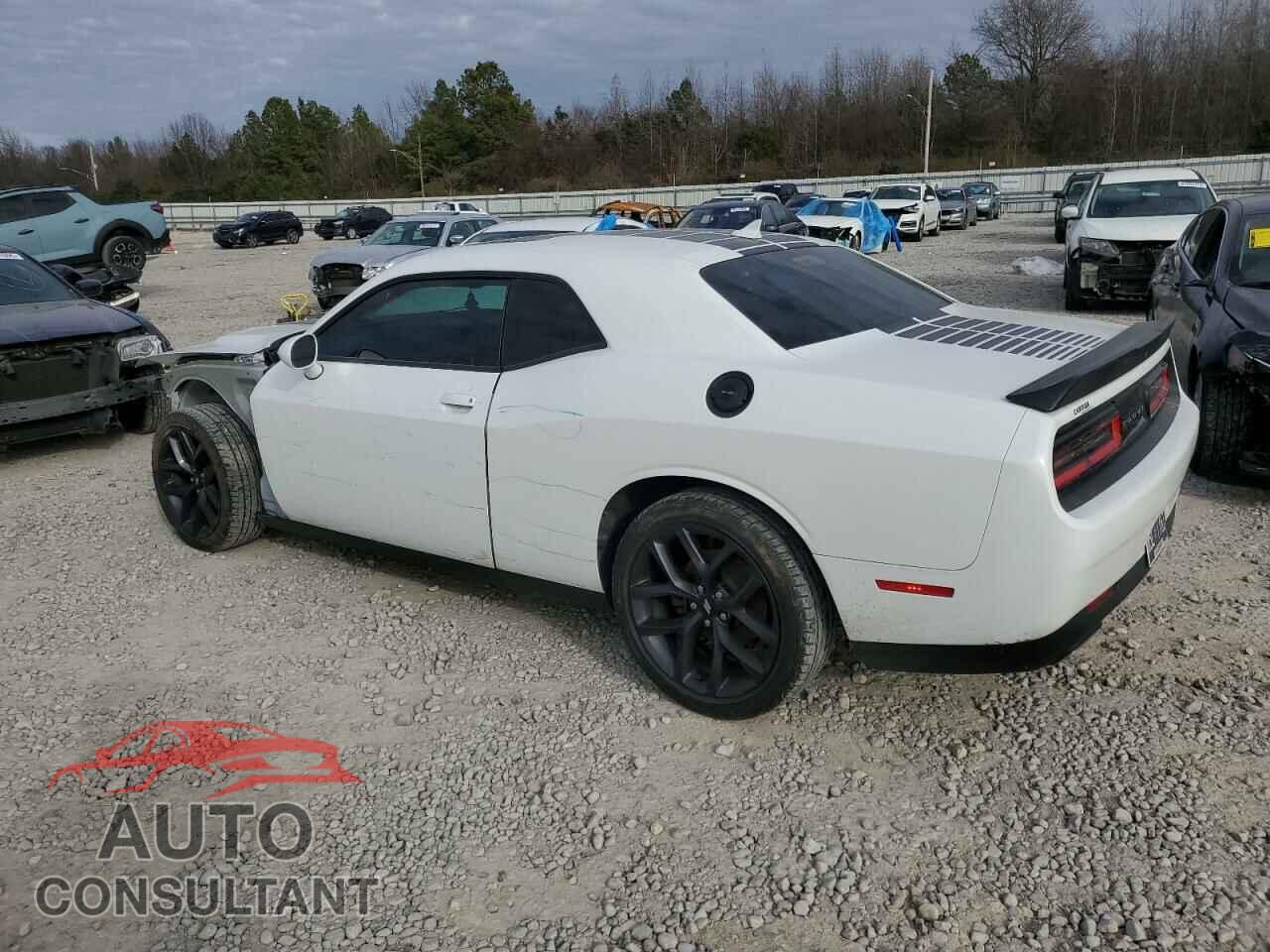 DODGE CHALLENGER 2019 - 2C3CDZAG7KH507577