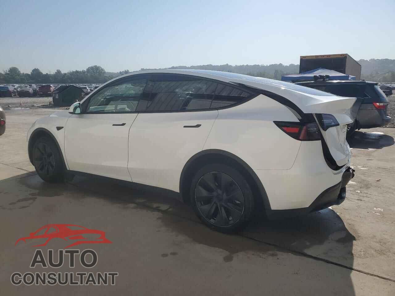 TESLA MODEL Y 2024 - 7SAYGDEEXRF149852