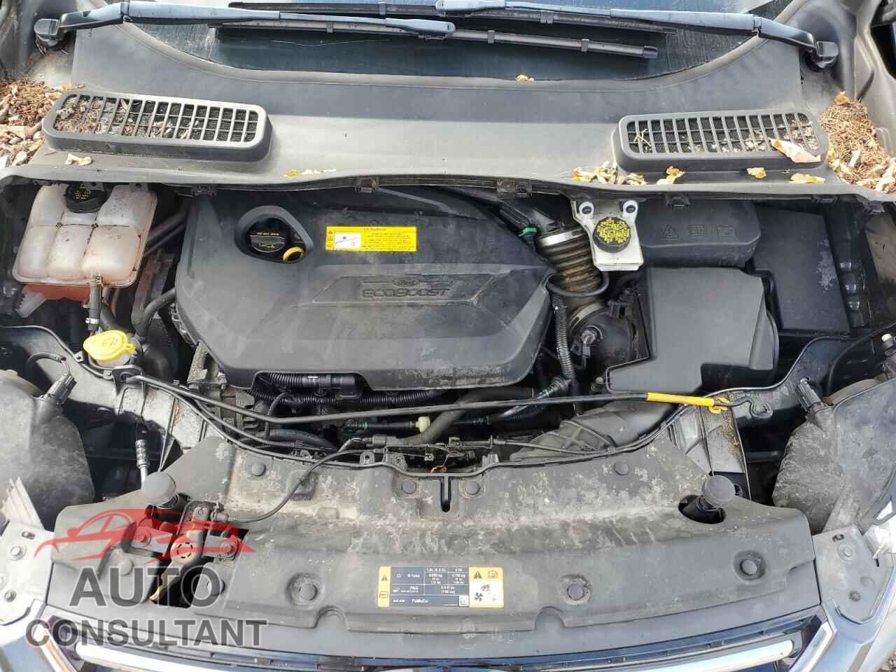 FORD ESCAPE 2016 - 1FMCU9JX2GUC17517