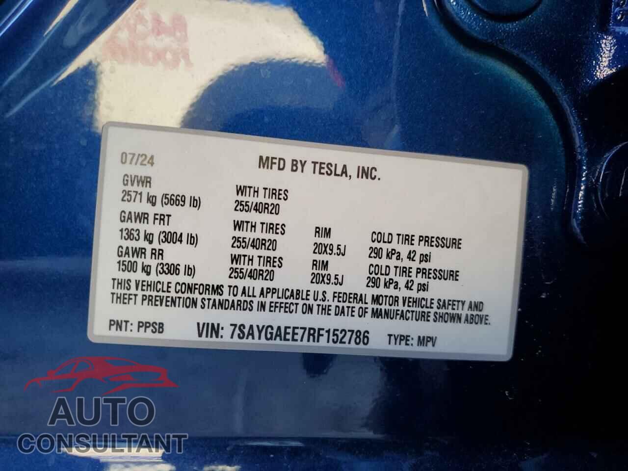 TESLA MODEL Y 2024 - 7SAYGAEE7RF152786