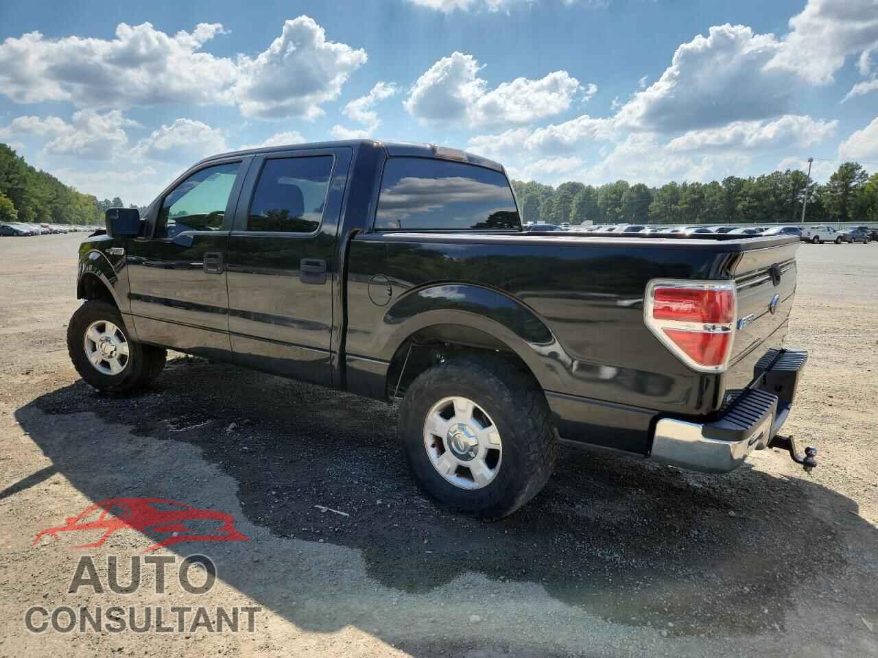 FORD F-150 2013 - 1FTFW1CF4DFA93879