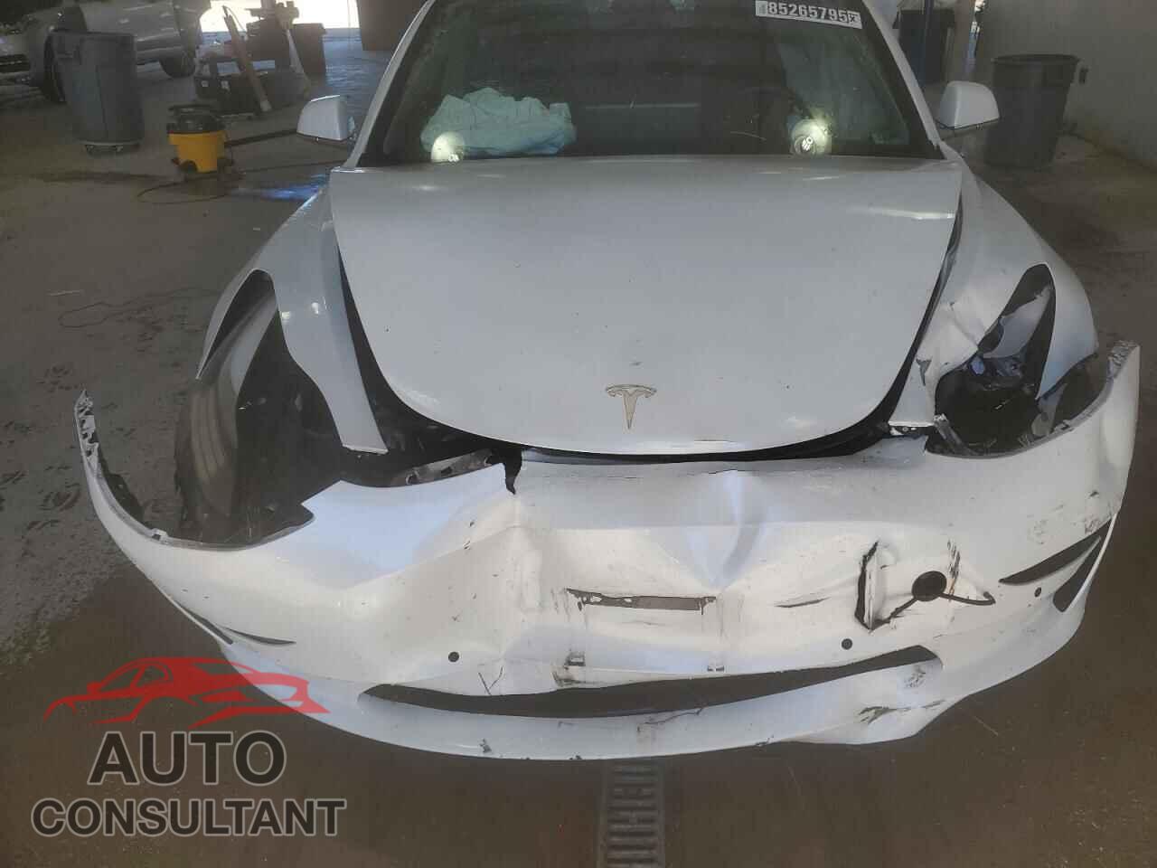 TESLA MODEL 3 2019 - 5YJ3E1EA5KF483883