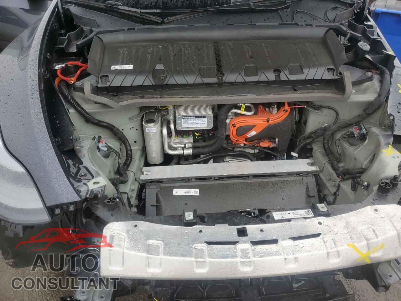 TESLA MODEL Y 2024 - 7SAYGDEE2RA266919