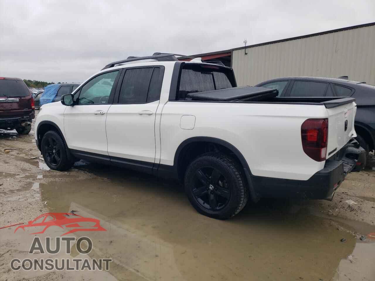 HONDA RIDGELINE 2021 - 5FPYK3F83MB001606