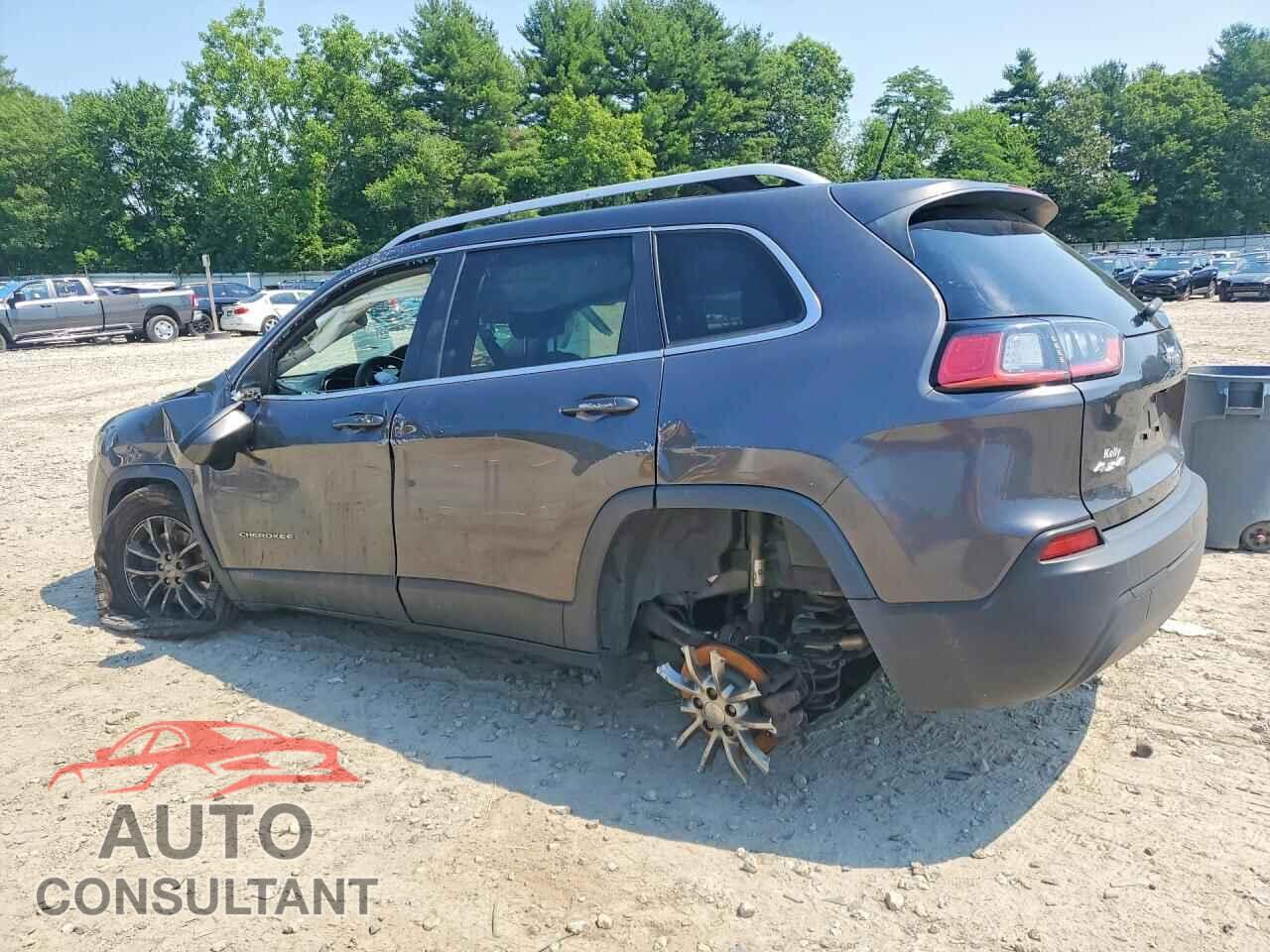 JEEP CHEROKEE 2019 - 1C4PJMLB3KD191439