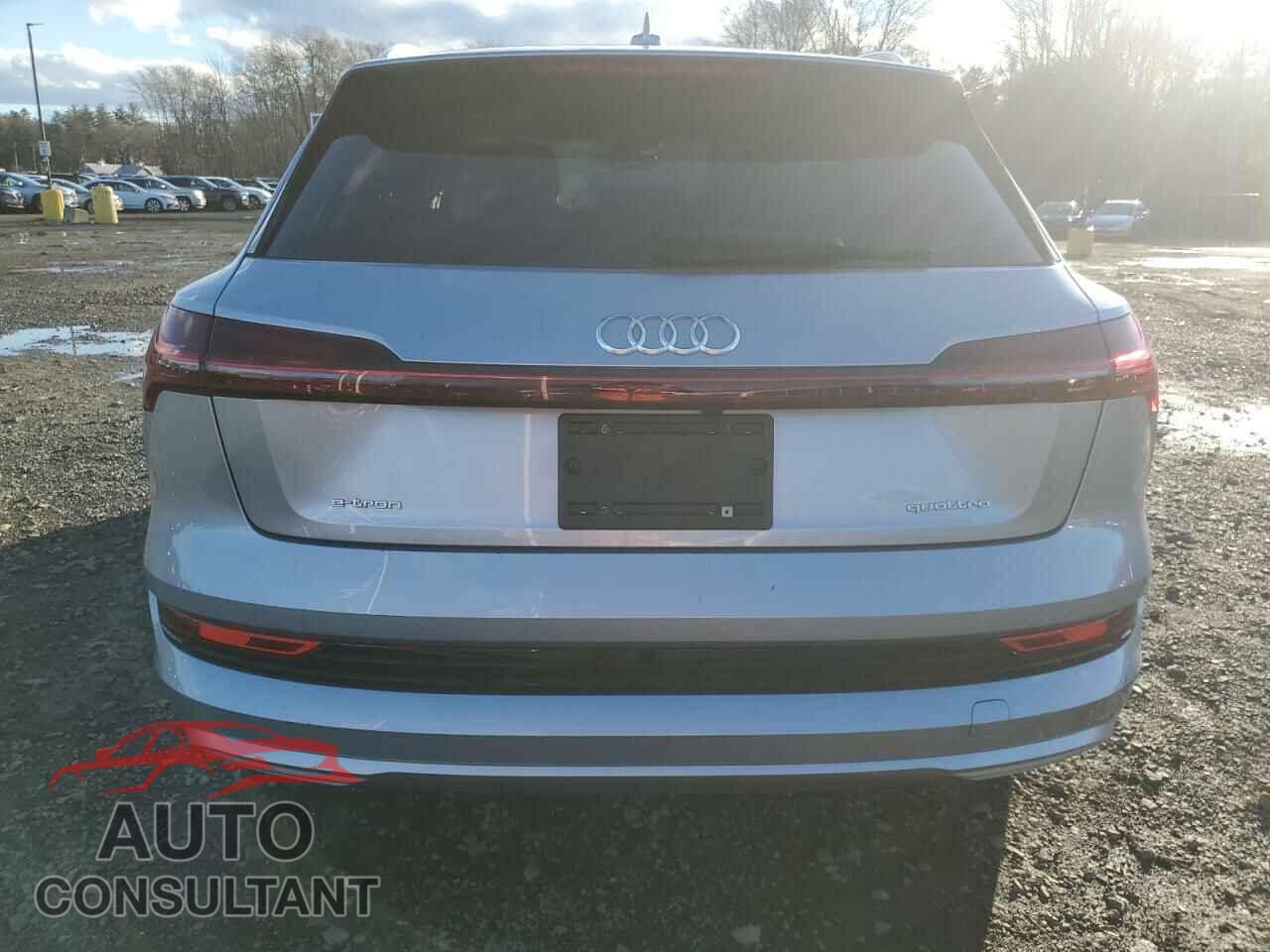 AUDI E-TRON 2021 - WA1LAAGE3MB016702
