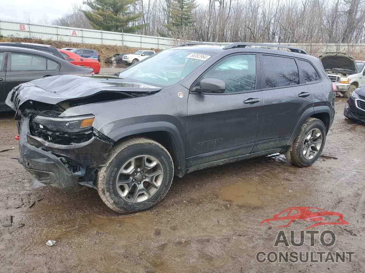 JEEP CHEROKEE 2019 - 1C4PJMBXXKD185974
