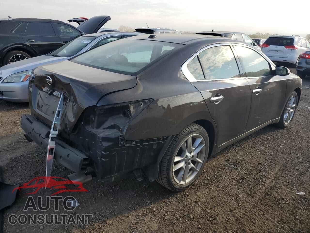 NISSAN MAXIMA 2010 - 1N4AA5AP5AC871069