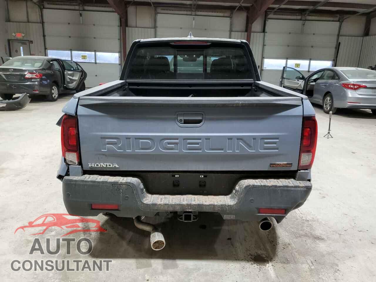 HONDA RIDGELINE 2024 - 5FPYK3F6XRB028811