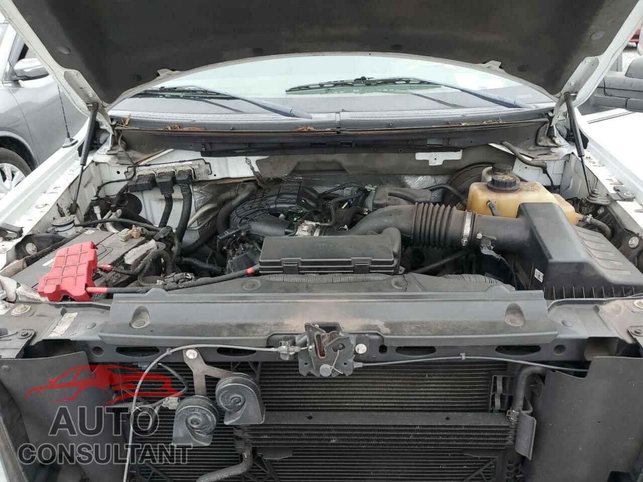 FORD F-150 2013 - 1FTEX1CM4DKD10460