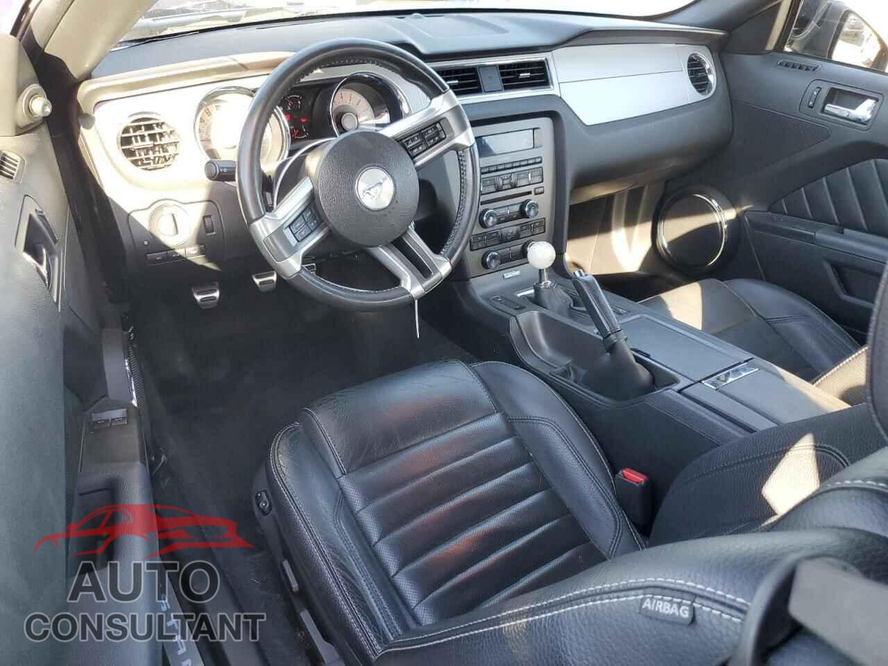 FORD MUSTANG 2011 - 1ZVBP8CF4B5125881