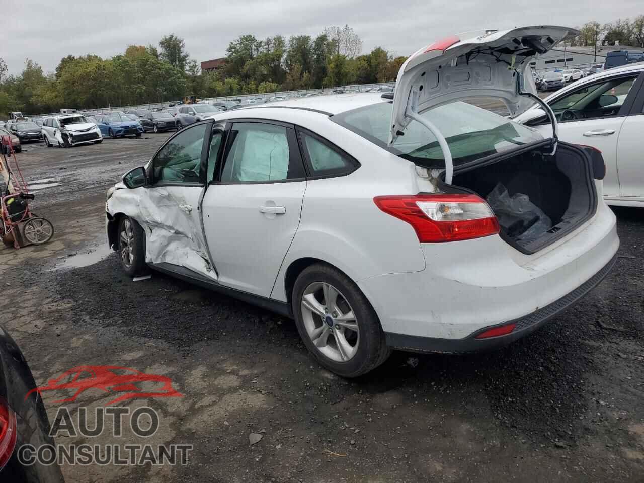 FORD FOCUS 2014 - 1FADP3F22EL415856