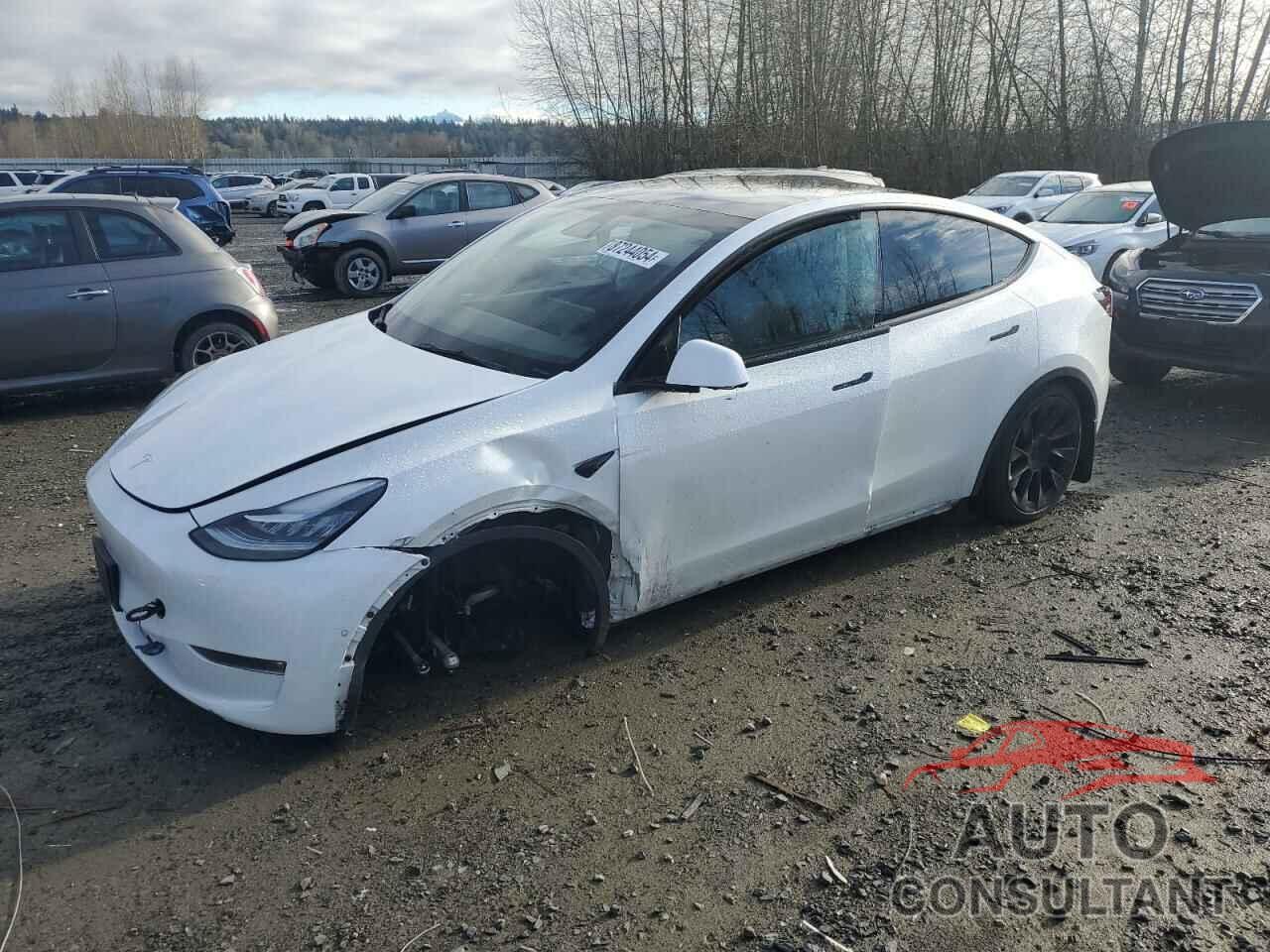 TESLA MODEL Y 2021 - 5YJYGAEE3MF223195