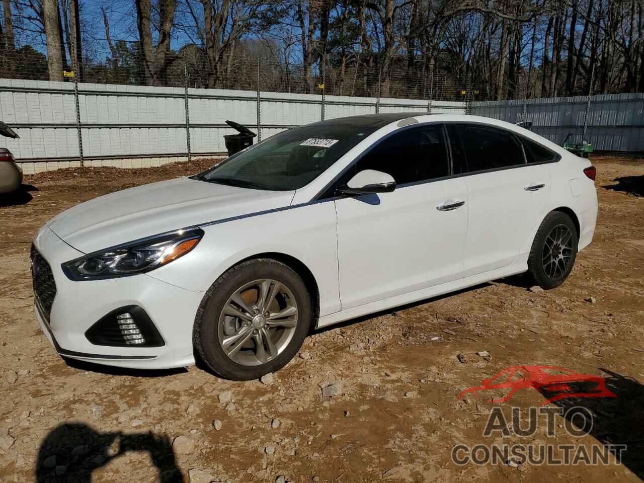 HYUNDAI SONATA 2019 - 5NPE34AF2KH732014
