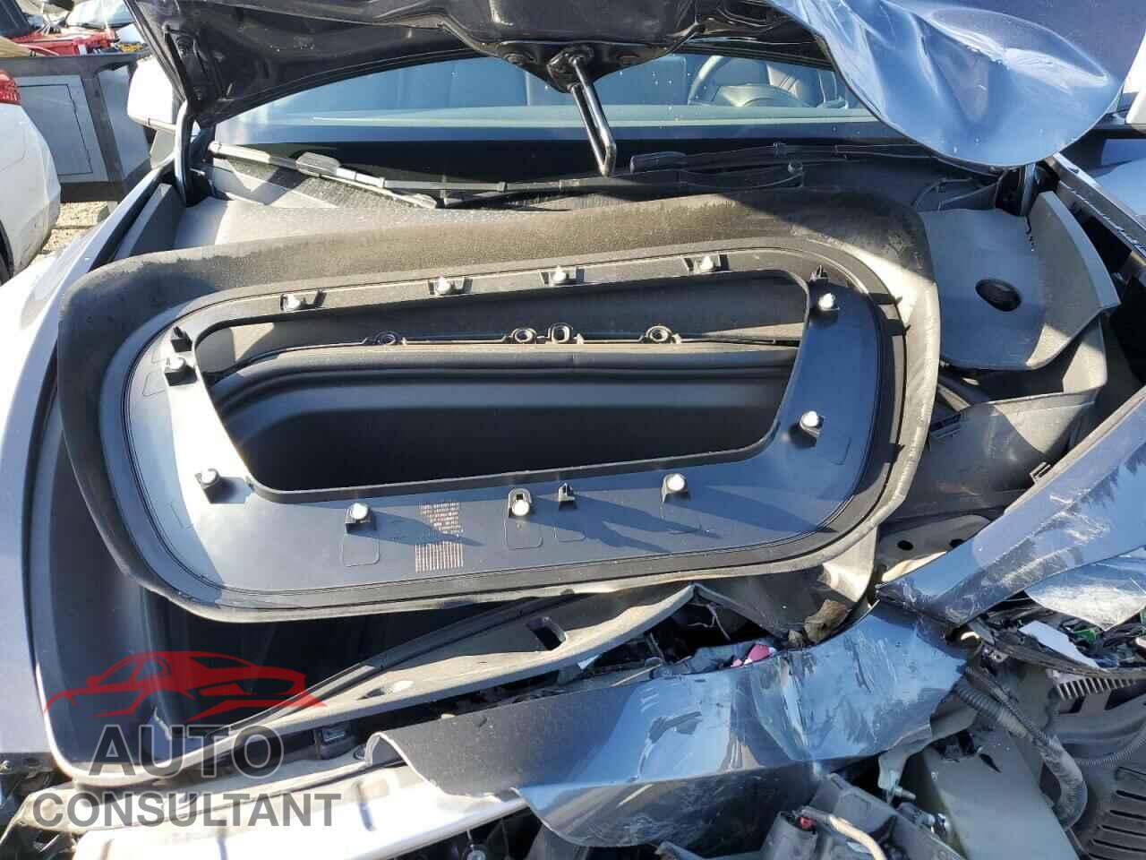 TESLA MODEL Y 2023 - 7SAYGDEF1PF795061
