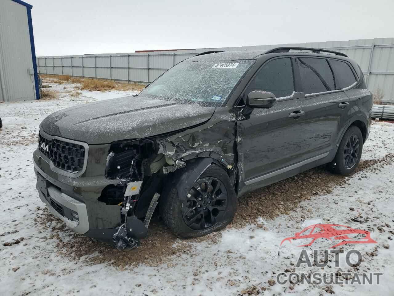 KIA TELLURIDE 2023 - 5XYP5DGC3PG354591