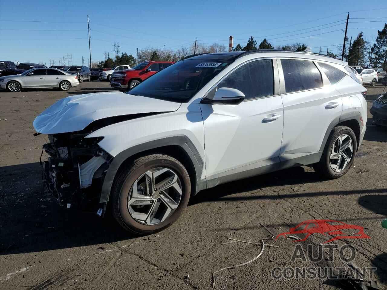 HYUNDAI TUCSON 2024 - KM8JCCD14RU141087