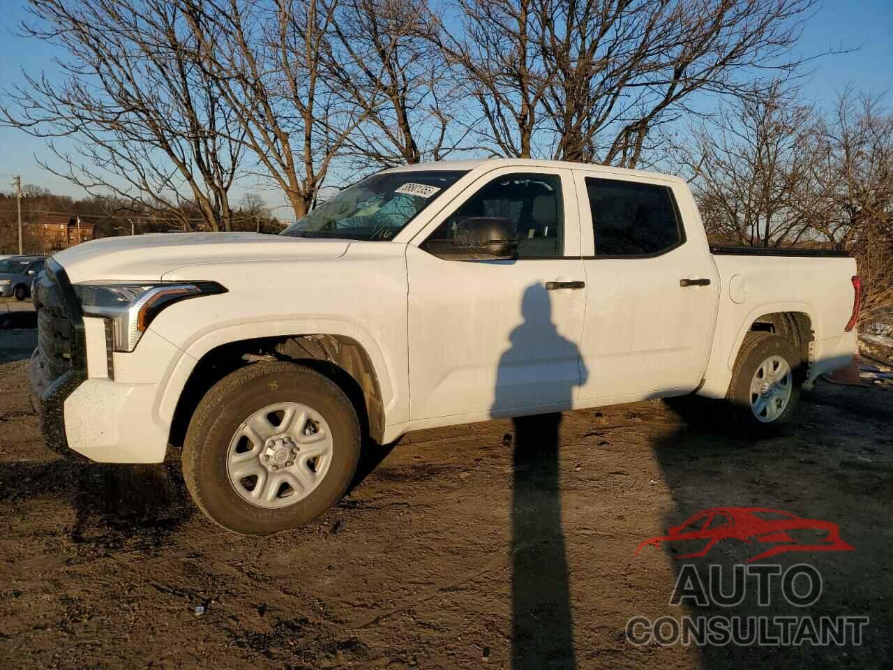 TOYOTA TUNDRA 2024 - 5TFKB5DB1RX181657