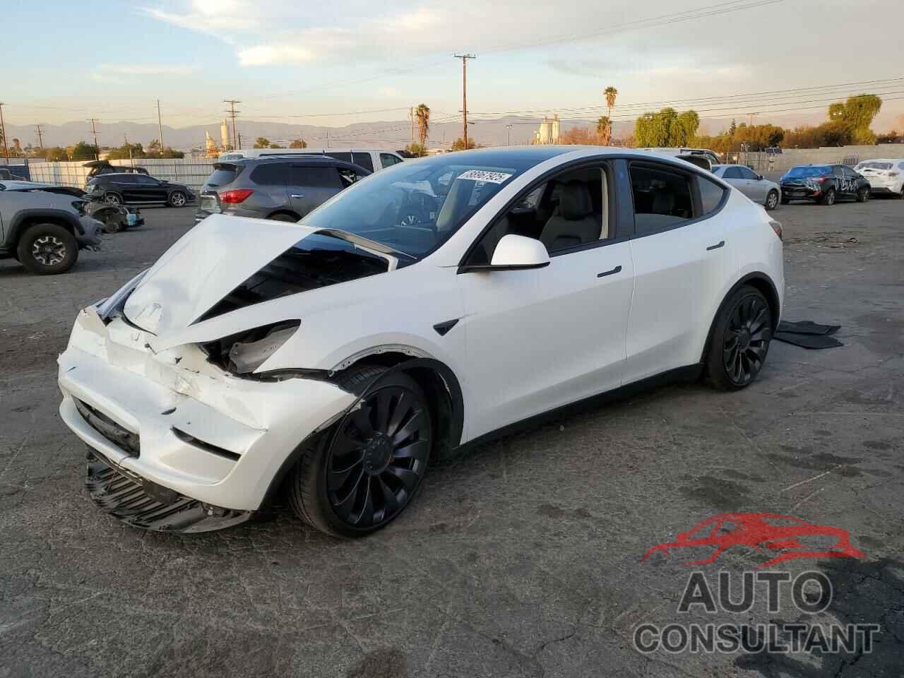 TESLA MODEL Y 2023 - 7SAYGDEF0PF769809