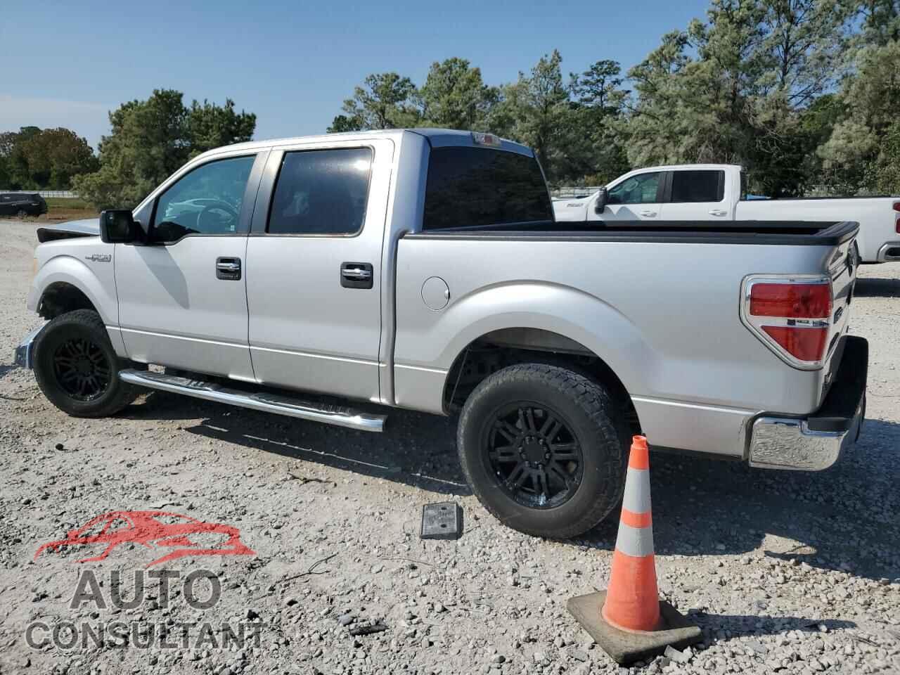 FORD F-150 2011 - 1FTEW1CM7BFA84858
