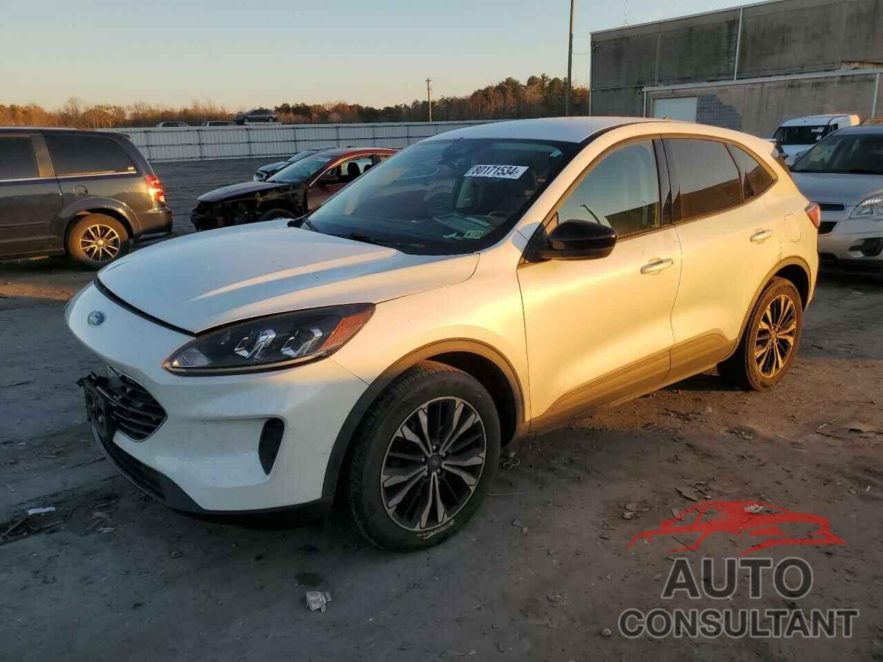 FORD ESCAPE 2022 - 1FMCU9G60NUB98865