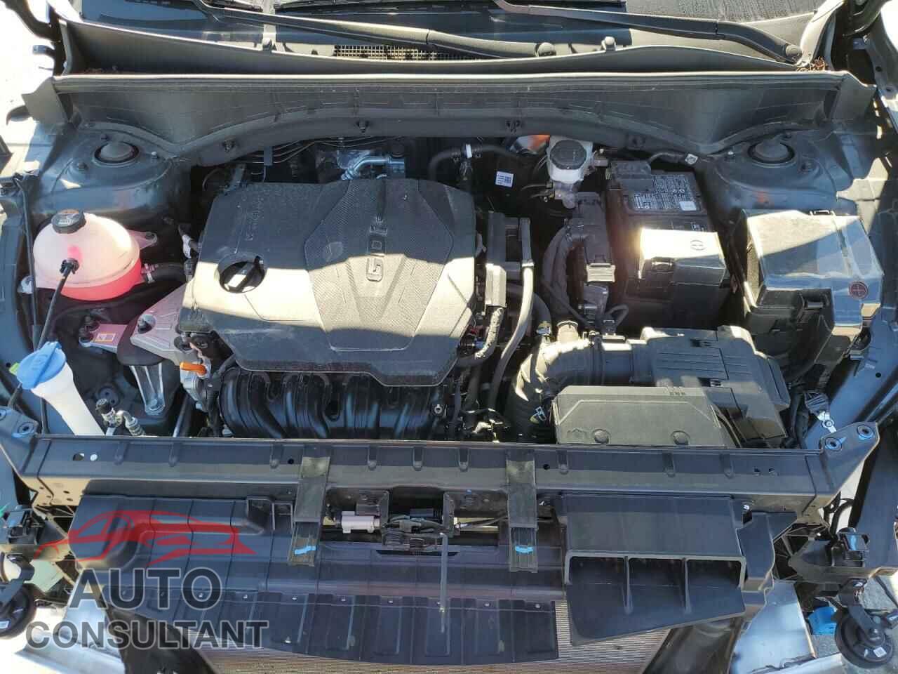 KIA SORENTO 2023 - 5XYRLDLC1PG227648