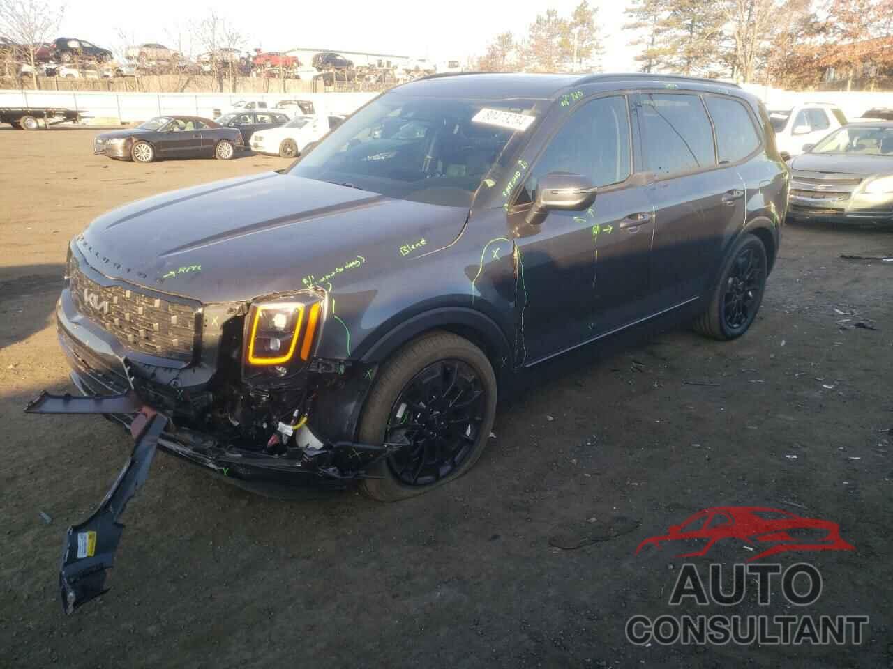 KIA TELLURIDE 2022 - 5XYP3DHC9NG258790