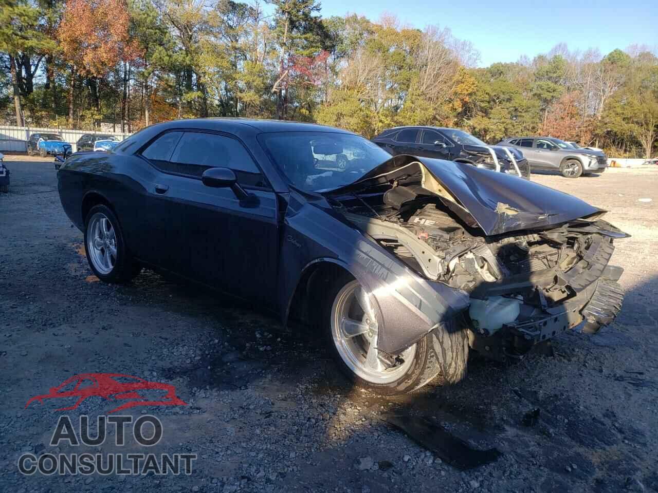 DODGE CHALLENGER 2013 - 2C3CDYBT6DH646771
