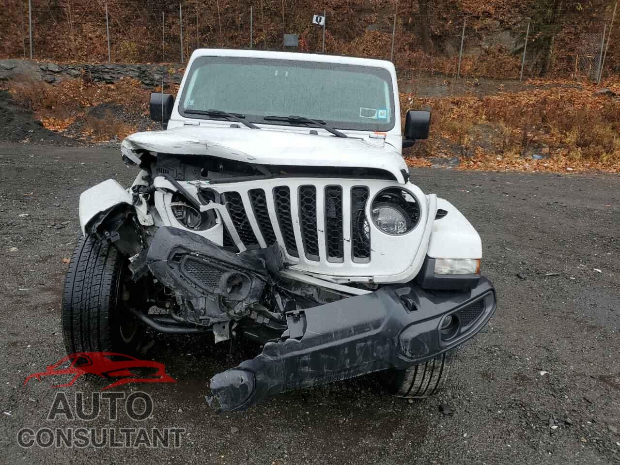 JEEP GLADIATOR 2021 - 1C6HJTAG4ML511574