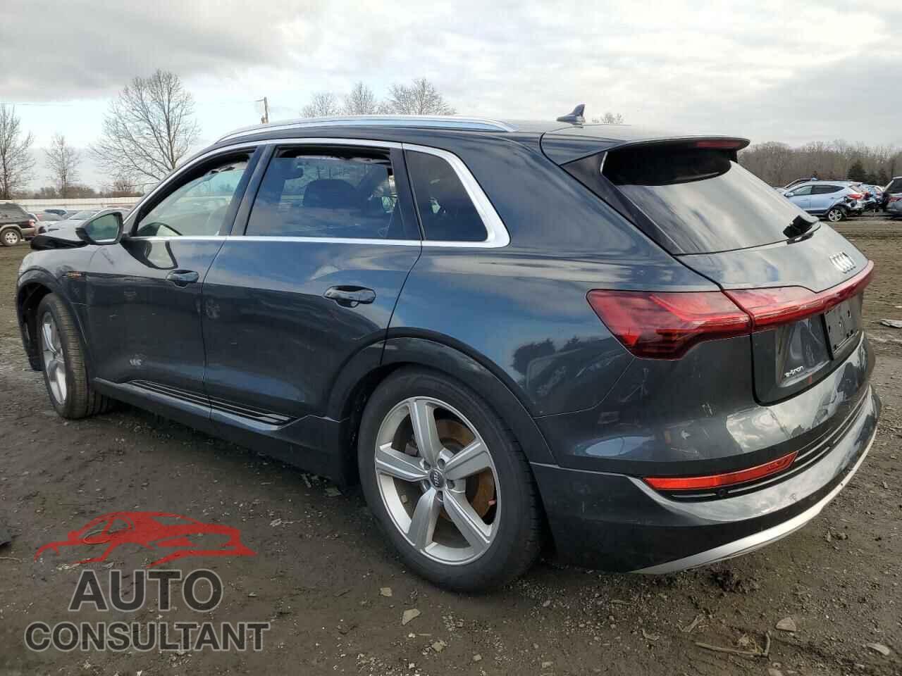 AUDI E-TRON 2019 - WA1LABGE9KB014682