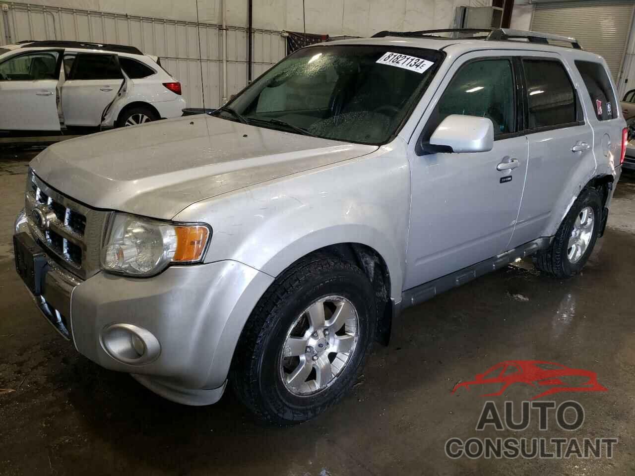 FORD ESCAPE 2011 - 1FMCU9EGXBKB60434