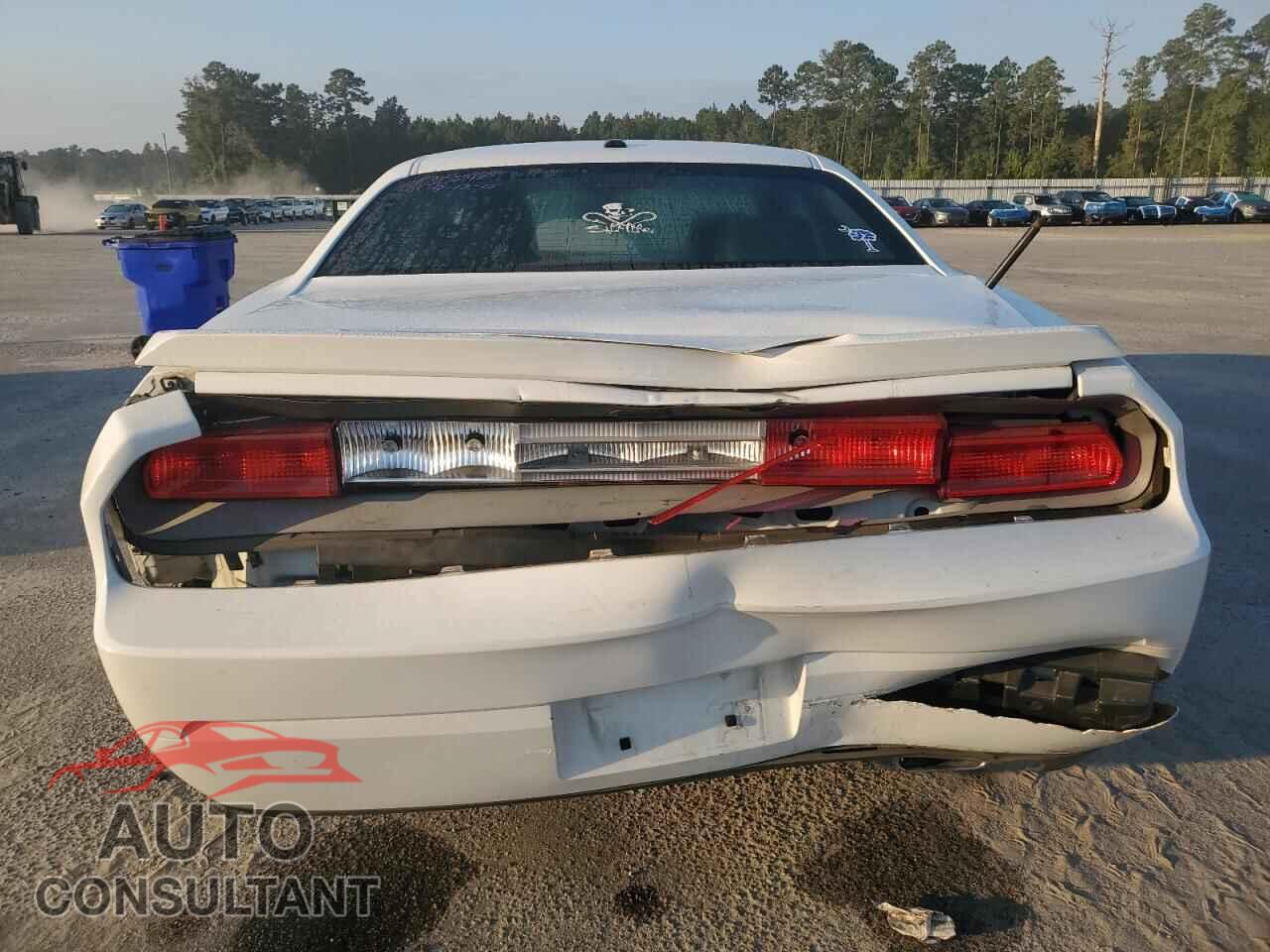 DODGE CHALLENGER 2012 - 2C3CDYBT8CH130846