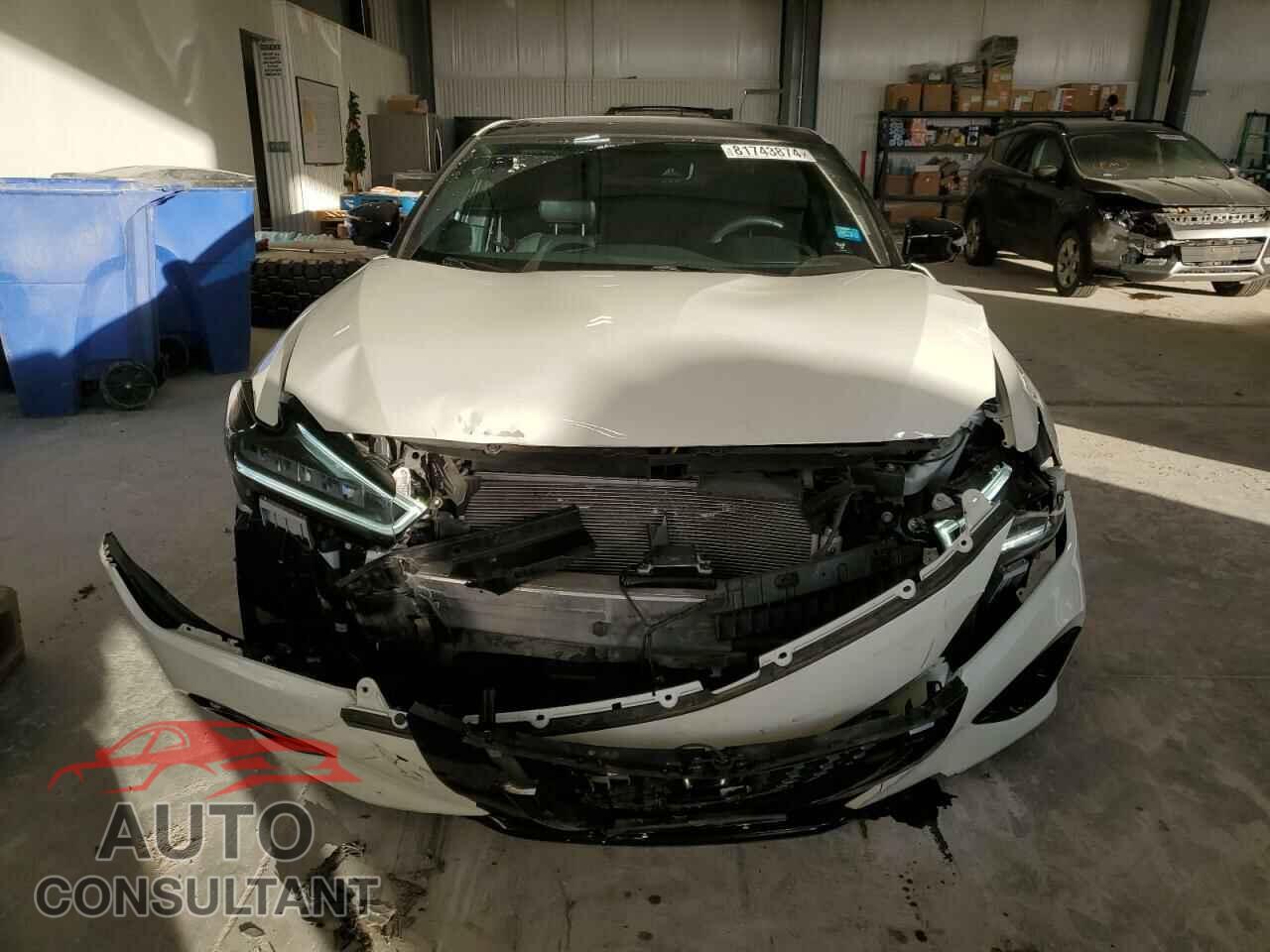 NISSAN MAXIMA 2023 - 1N4AA6EV6PC514099
