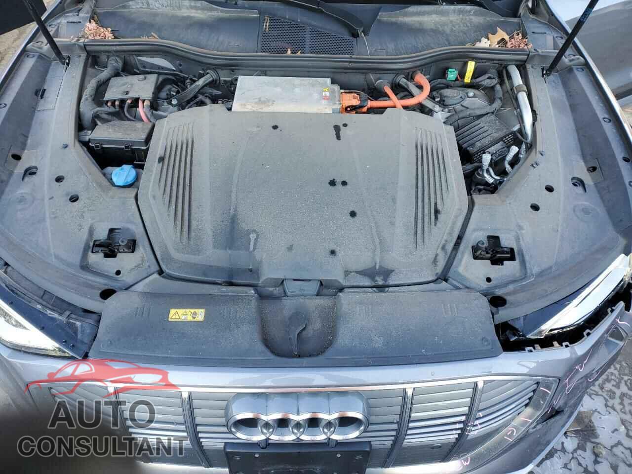 AUDI E-TRON 2019 - WA1VAAGE7KB019978