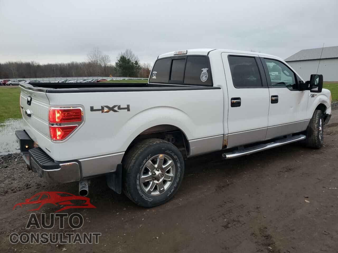 FORD F-150 2013 - 1FTFW1EF2DFB01426