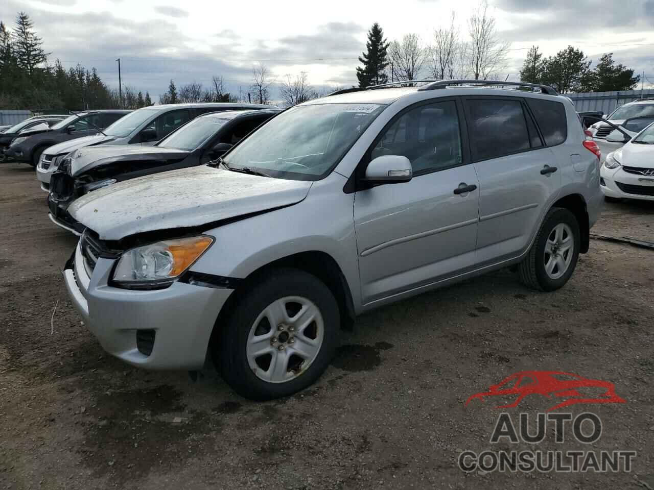 TOYOTA RAV4 2011 - 2T3BF4DV5BW125000