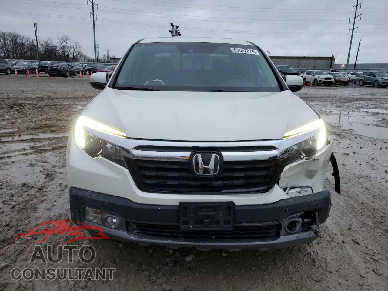 HONDA RIDGELINE 2019 - 5FPYK3F76KB015553