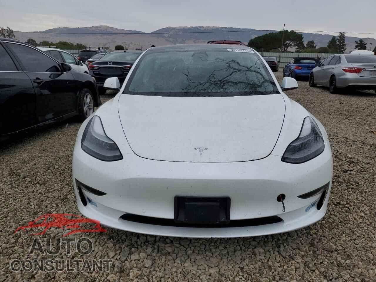 TESLA MODEL 3 2021 - 5YJ3E1EA0MF013635