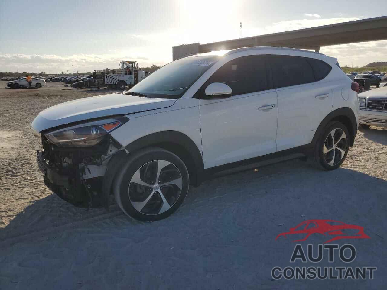 HYUNDAI TUCSON 2016 - KM8J33A28GU022131