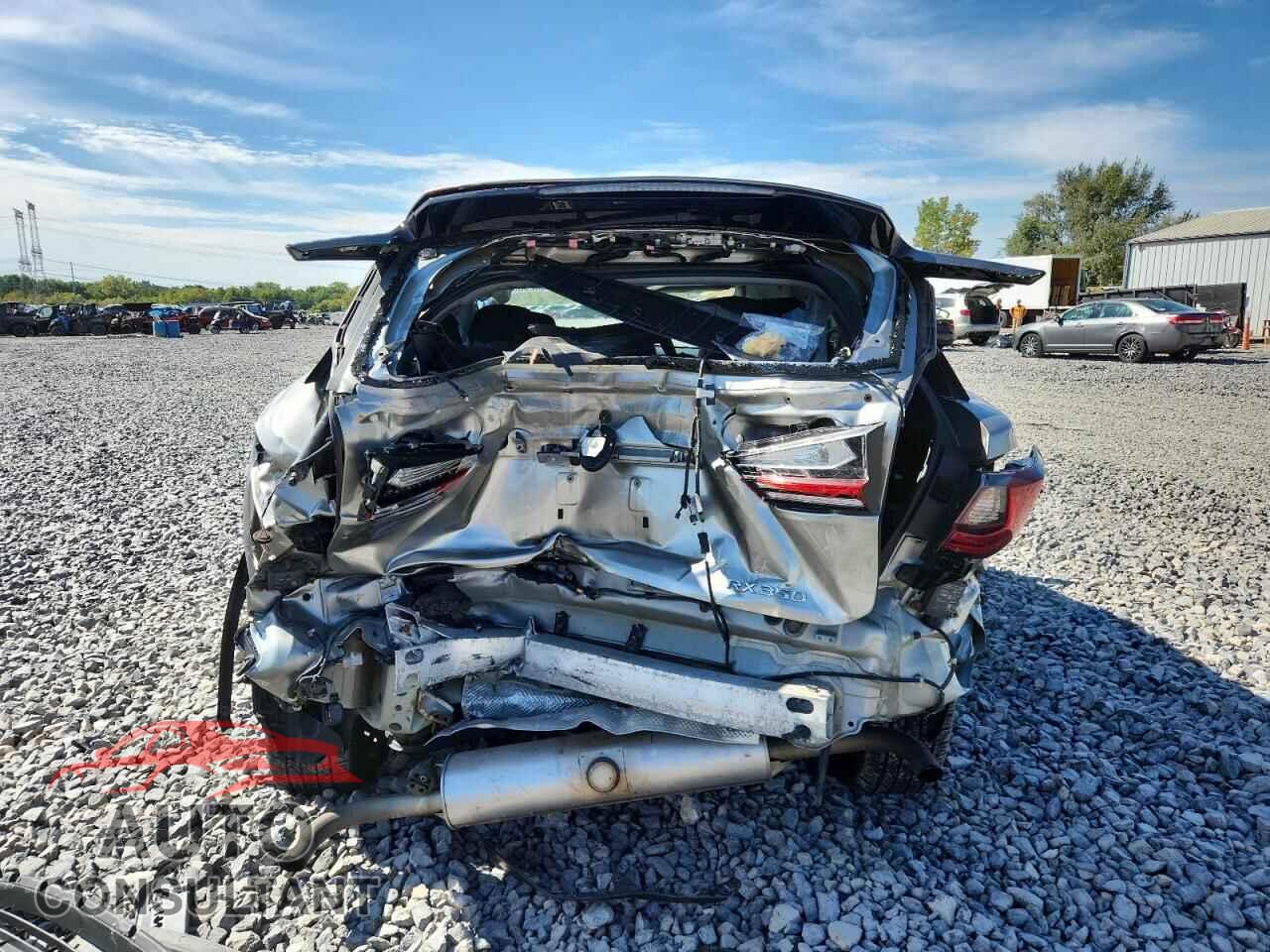LEXUS RX 2009 - 2T2BZMCA7HC062681