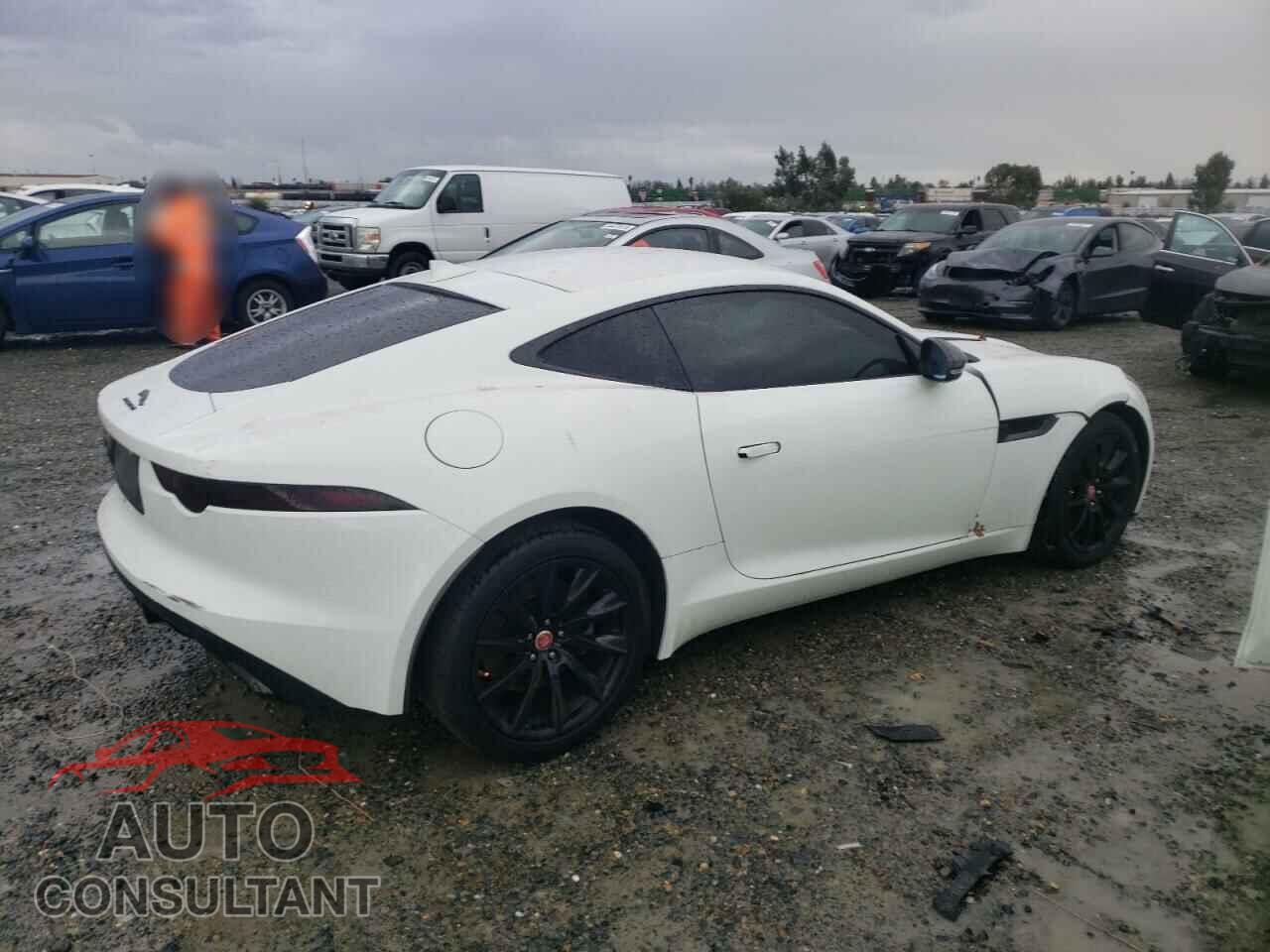 JAGUAR F-TYPE 2018 - SAJDD1EV1JCK51157