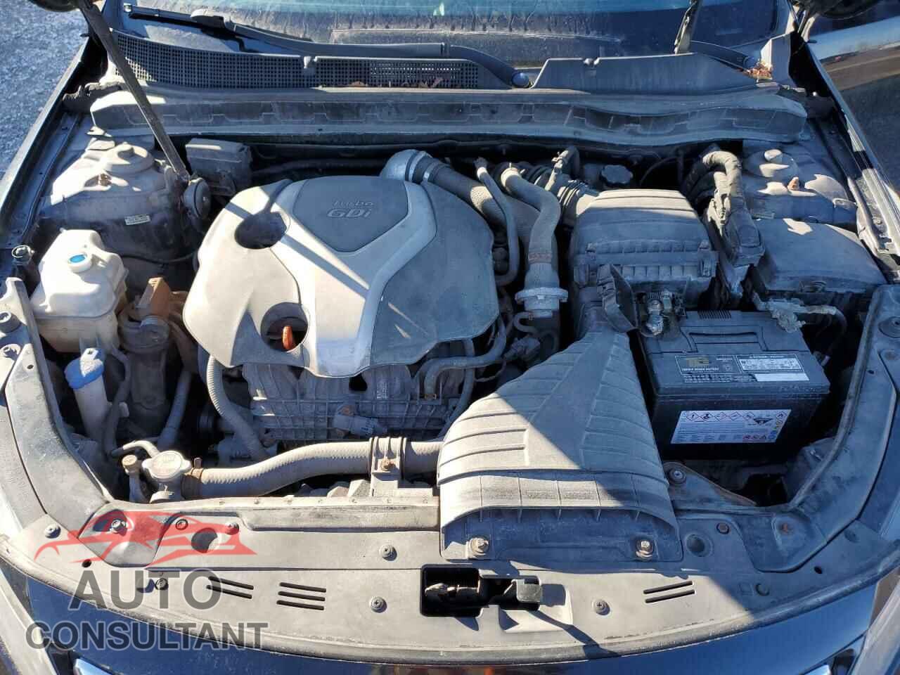 KIA OPTIMA 2012 - KNAGN4A6XC5262817