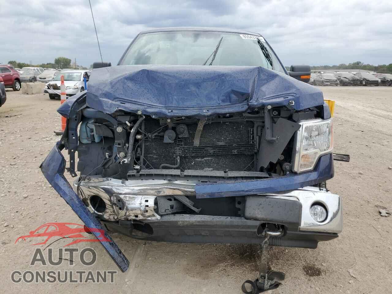 FORD F-150 2011 - 1FTFX1EF2BFA20260