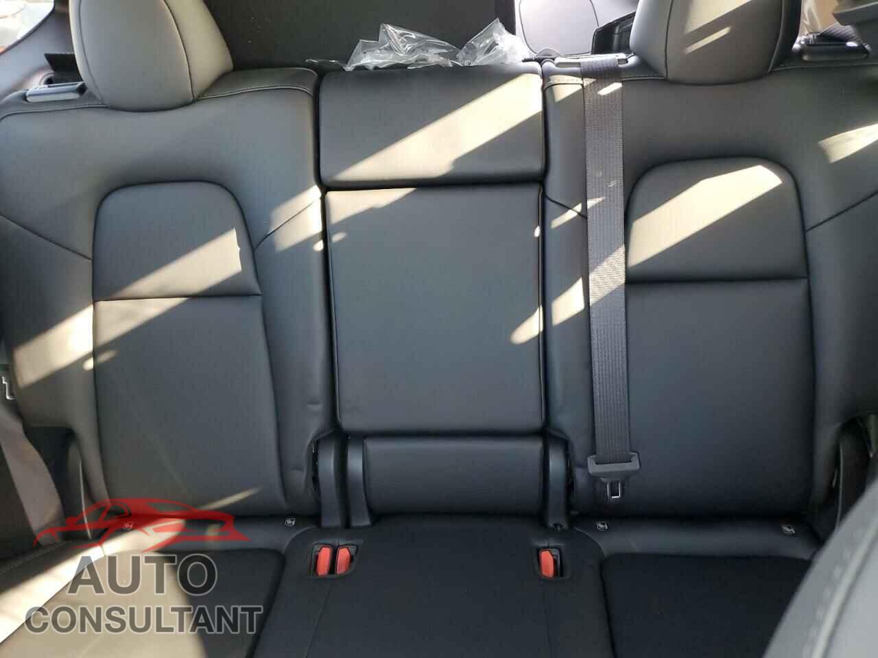 TESLA MODEL Y 2024 - 7SAYGDED0RF121274
