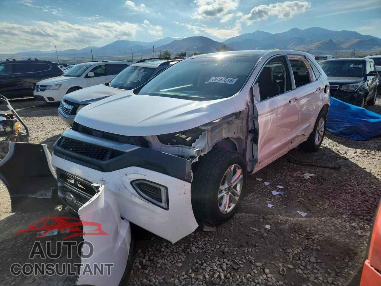 FORD EDGE 2016 - 2FMPK4J81GBC59413