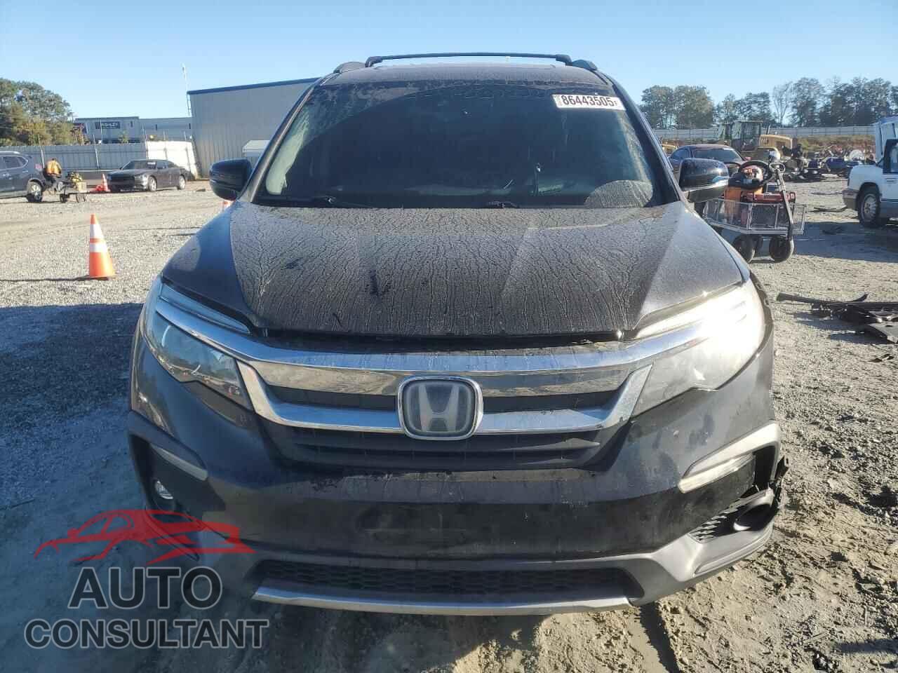 HONDA PILOT 2019 - 5FNYF5H53KB009567
