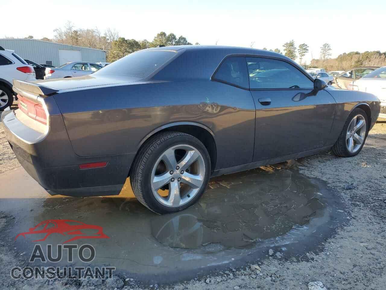 DODGE CHALLENGER 2014 - 2C3CDYAG9EH256043