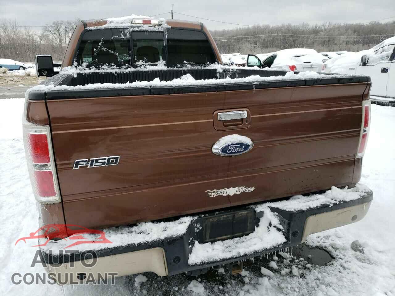 FORD F-150 2011 - 1FTFX1ET1BFB62881