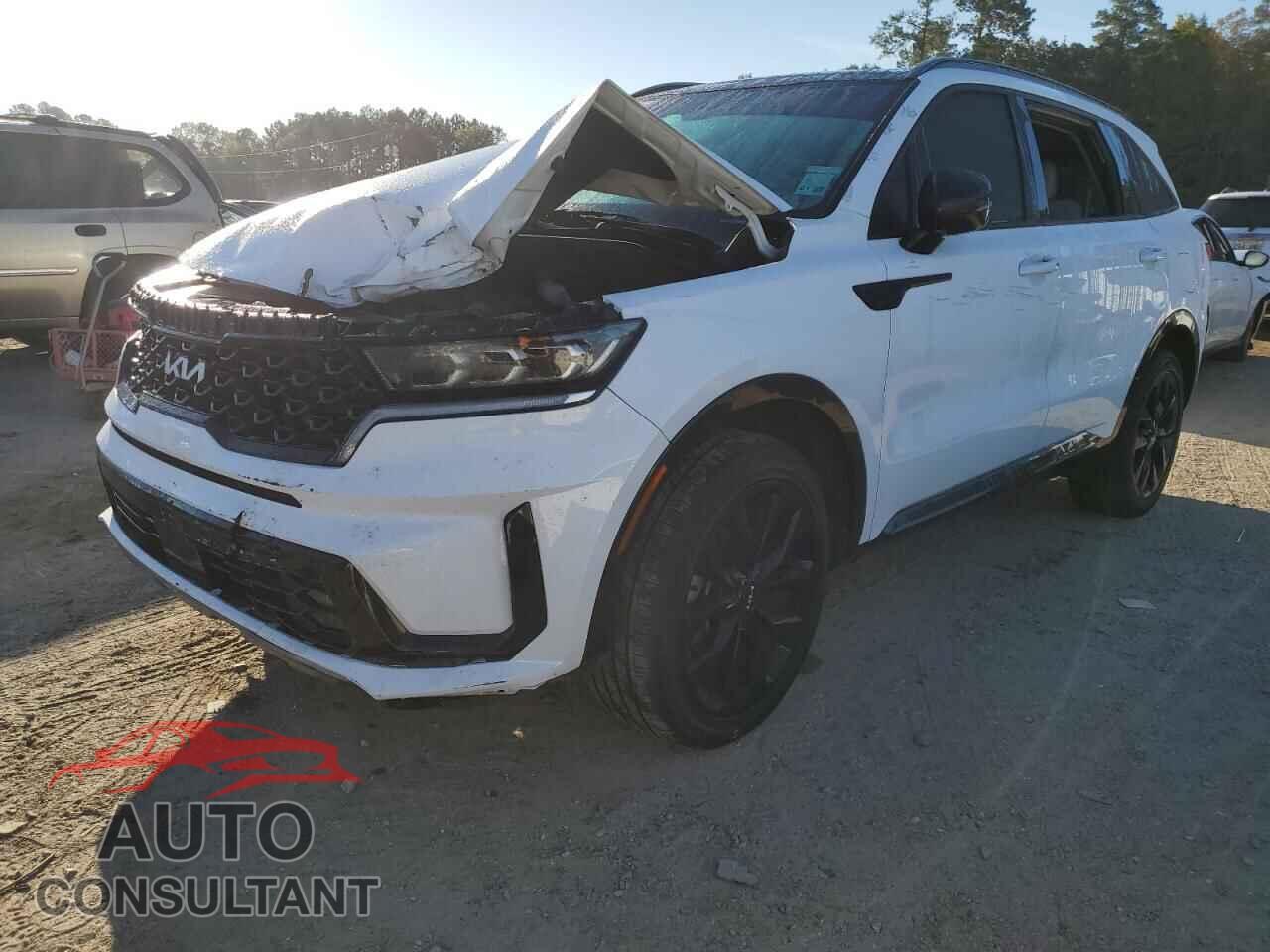 KIA SORENTO 2023 - 5XYRKDLF5PG185322