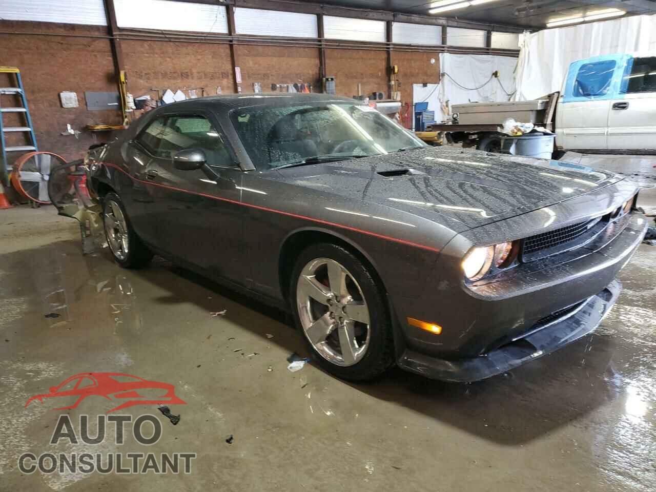 DODGE CHALLENGER 2013 - 2C3CDYAGXDH645742